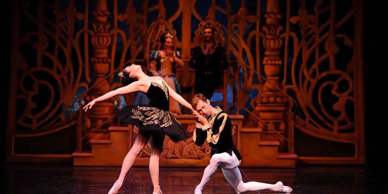 Thursday 2014 Swan Lake-486