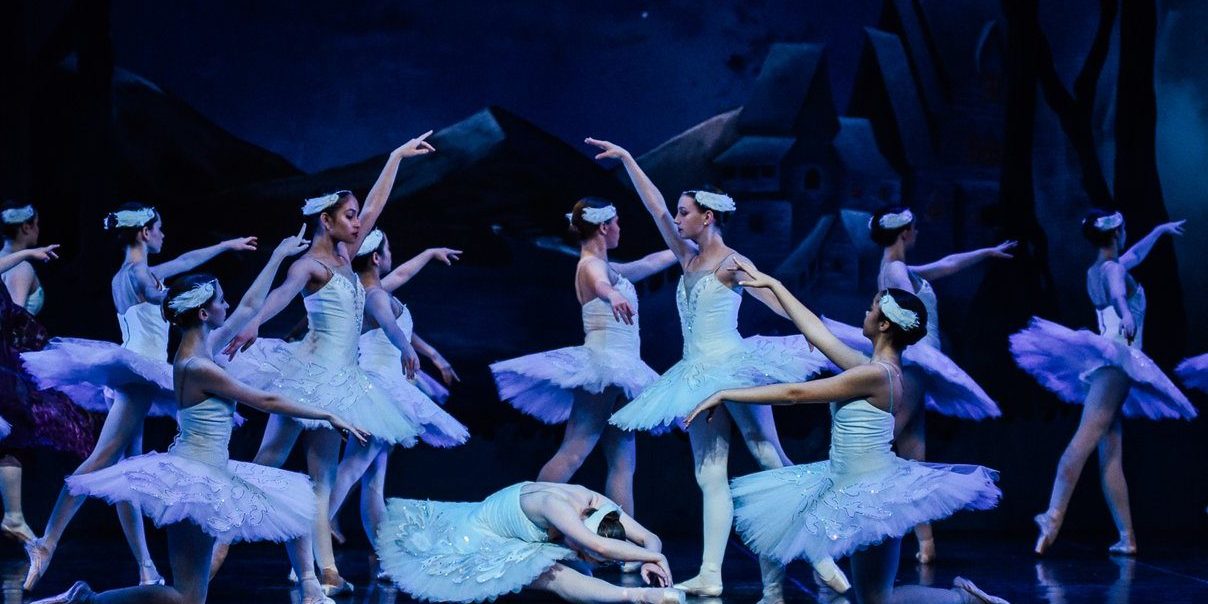 act4swans